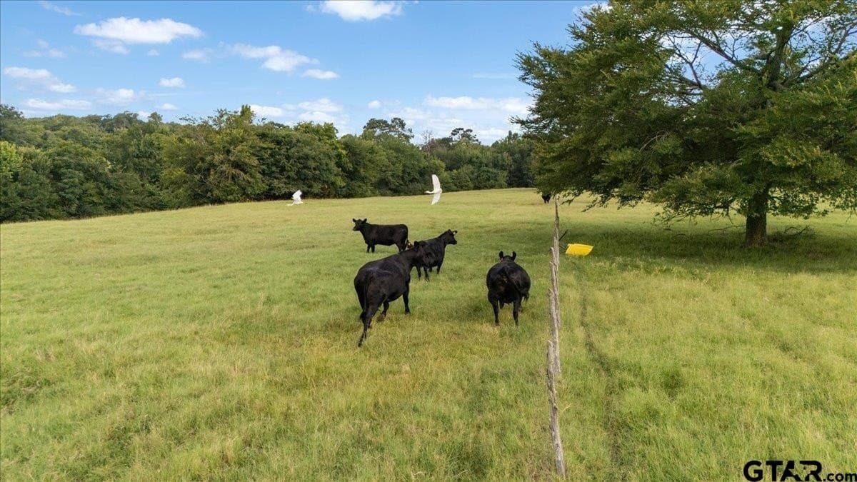 78 acres in Rusk County - photo 16