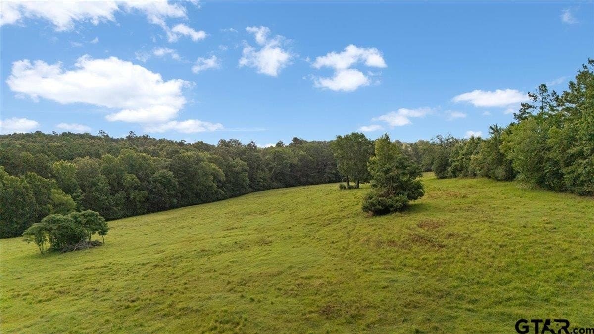 78 acres in Rusk County - photo 29