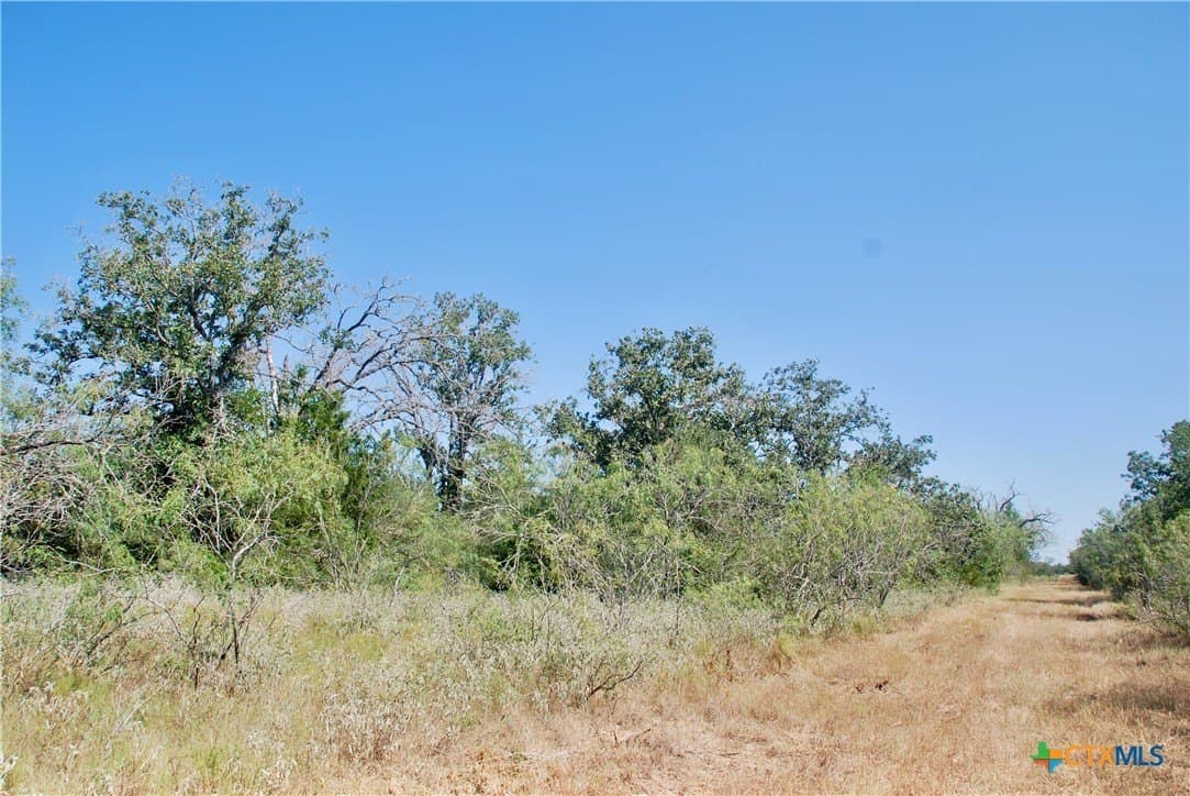 18.27 acres in Gonzales County - photo 11