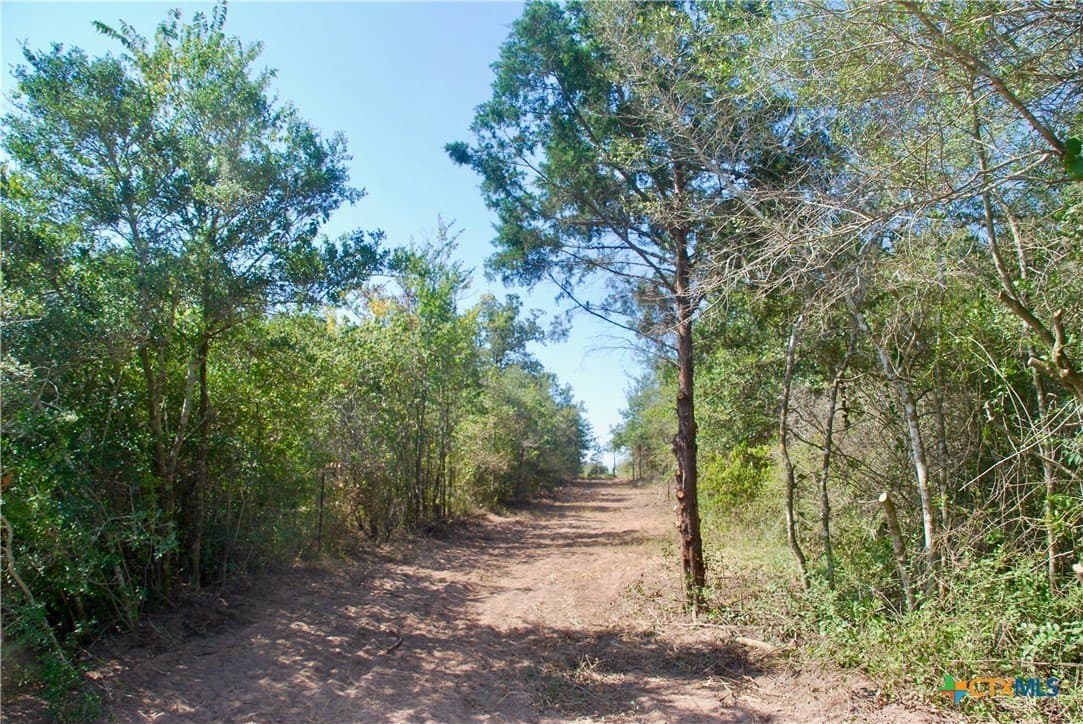 18.27 acres in Gonzales County - photo 21