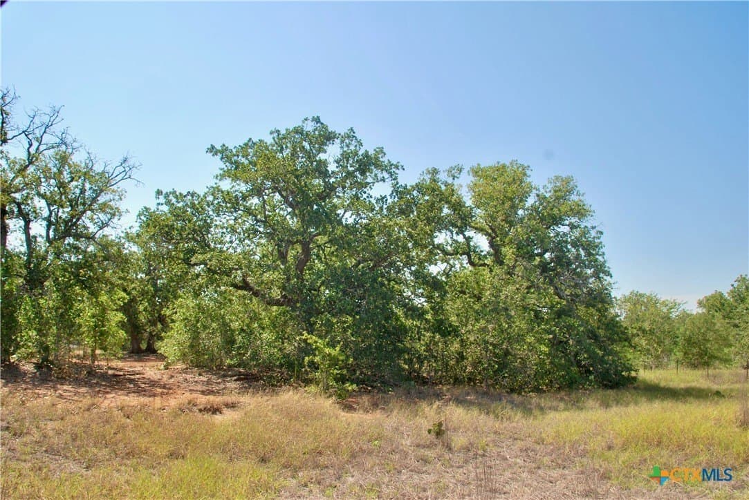 18.27 acres in Gonzales County - photo 8