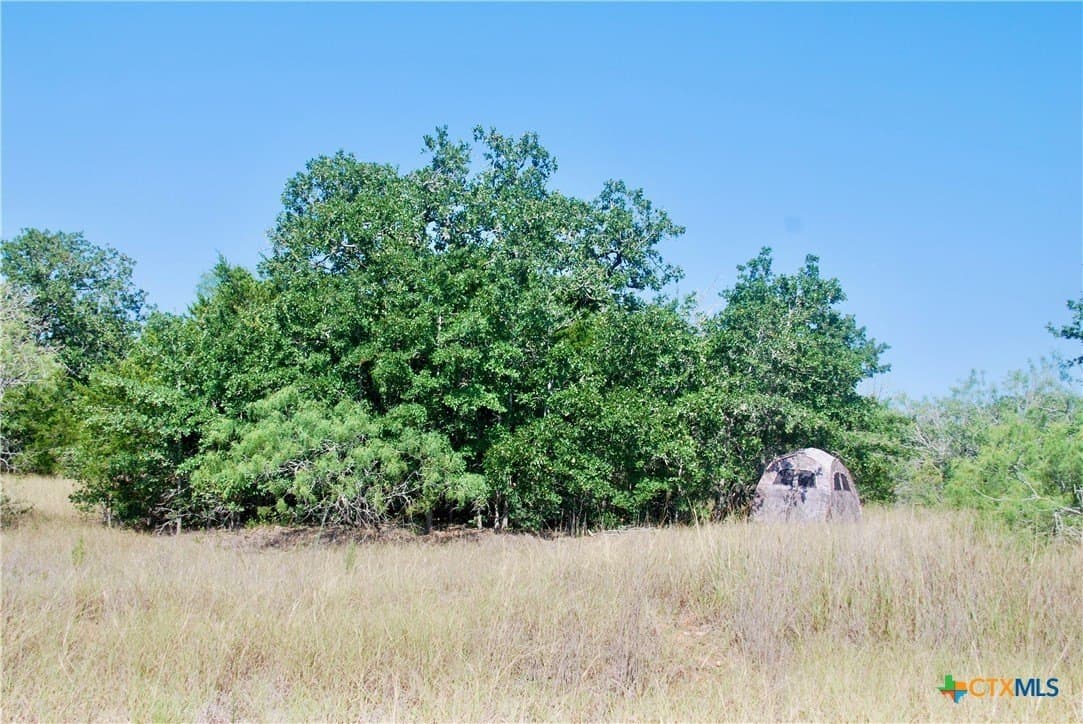 18.27 acres in Gonzales County - photo 7