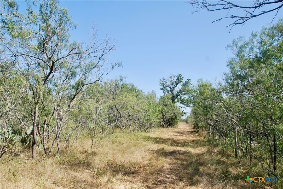 18.27 acres in Gonzales County - photo 10