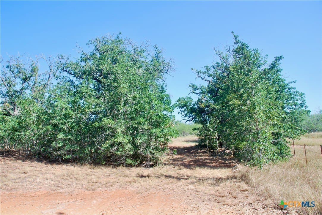 18.27 acres in Gonzales County - photo 5