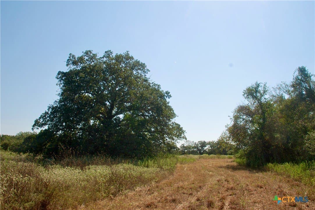 18.27 acres in Gonzales County - photo 18