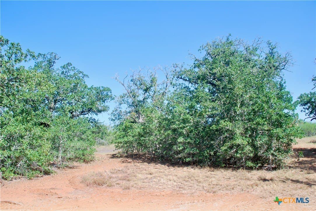 18.27 acres in Gonzales County - photo 6