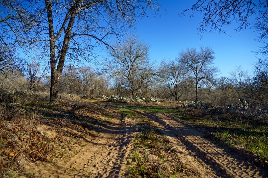 10.65 acres in Atascosa County gallery image 3