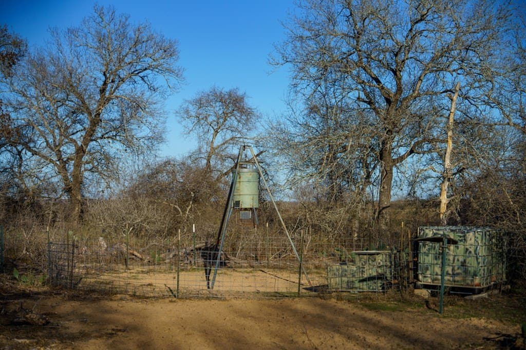 10.65 acres in Atascosa County featured view