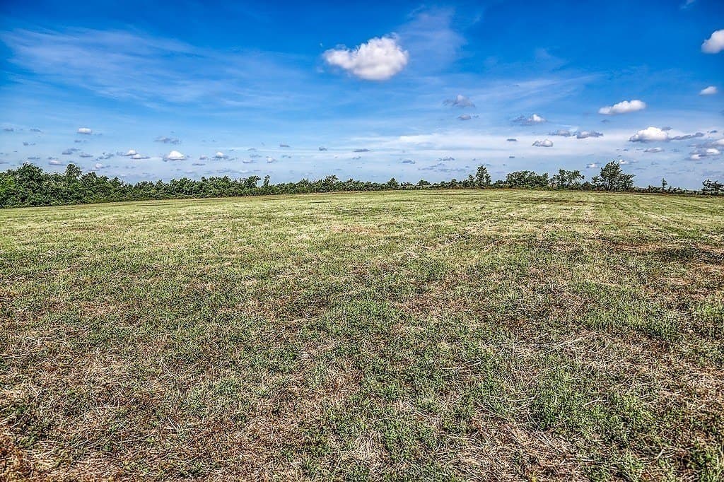 5 acres in Washington County featured view