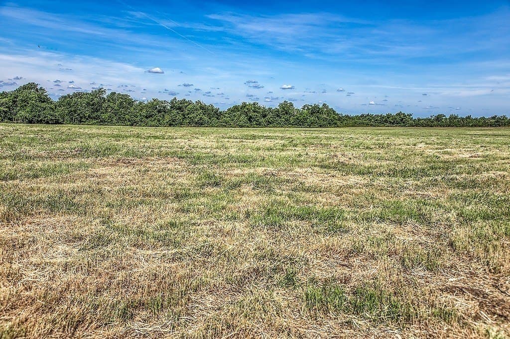 5 acres in Washington County - photo 7