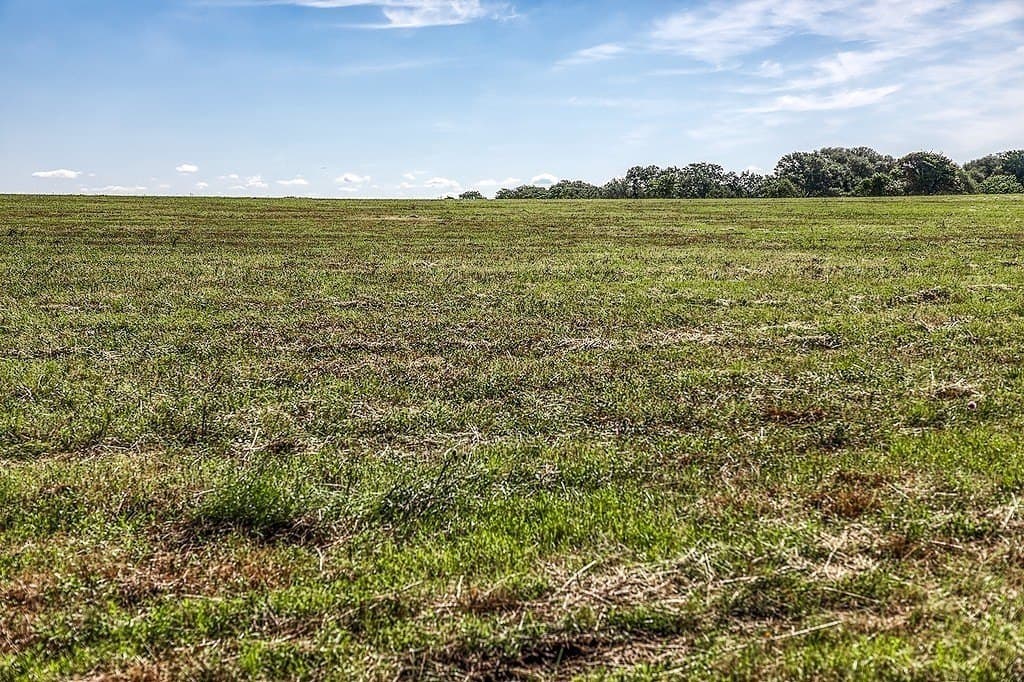 5 acres in Washington County - photo 13
