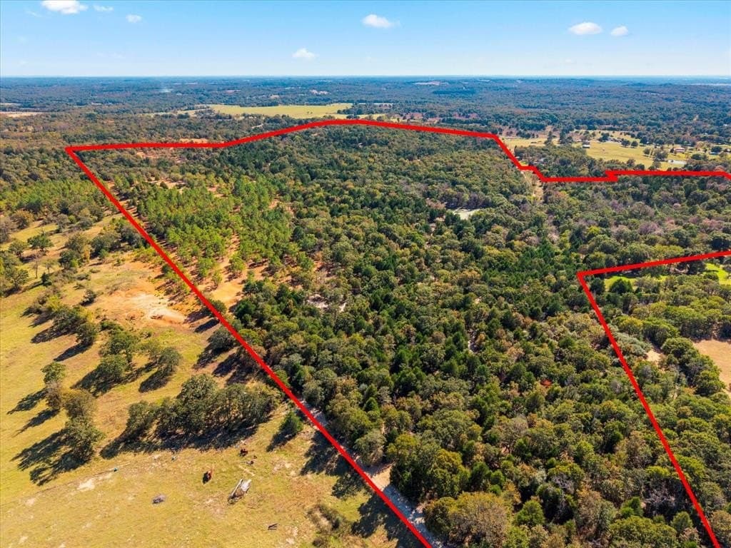141.87 acres in Van Zandt County