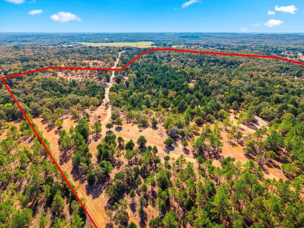 141.87 acres in Van Zandt County gallery image 2