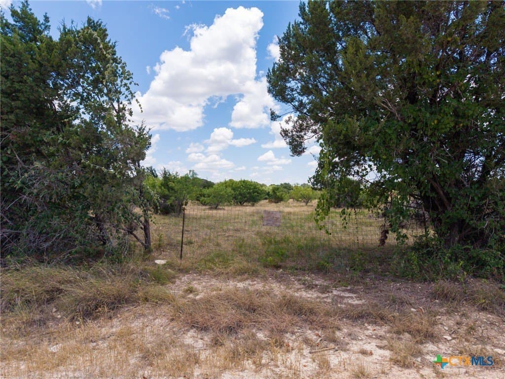 25 acres in Coryell County - photo 13