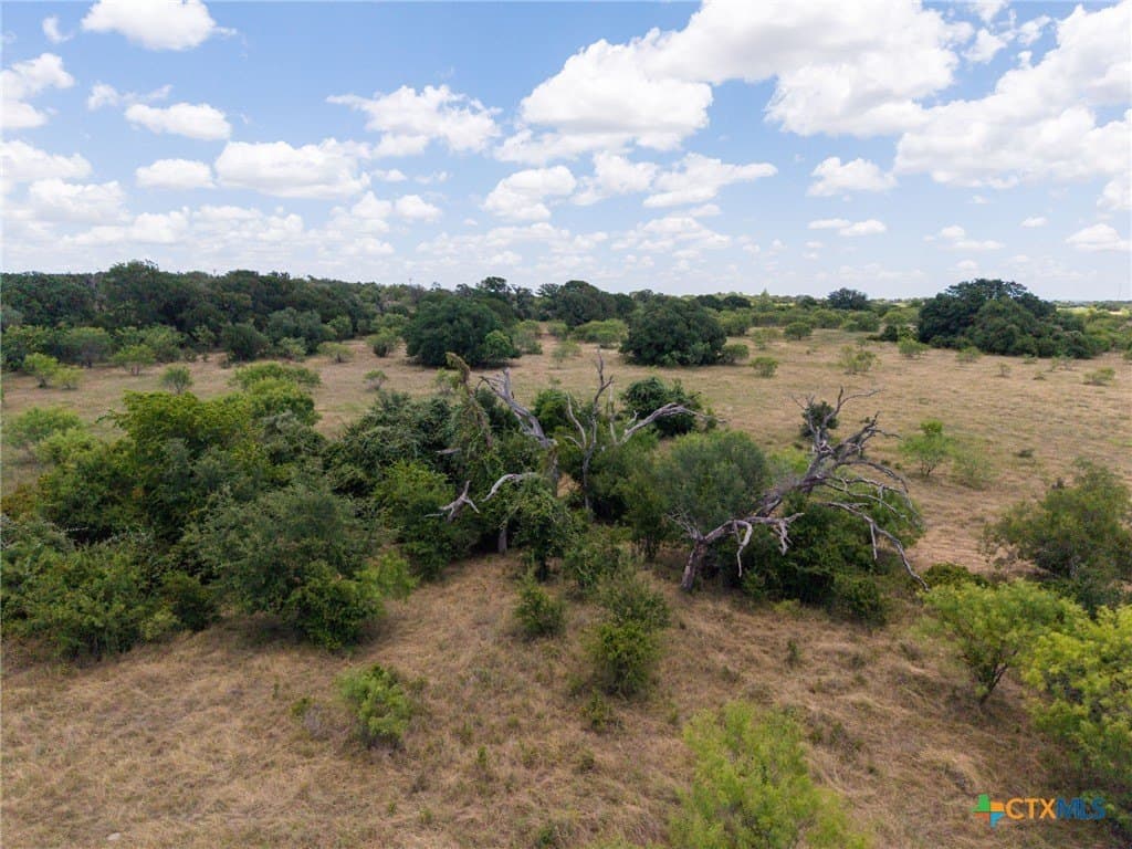 25 acres in Coryell County - photo 7