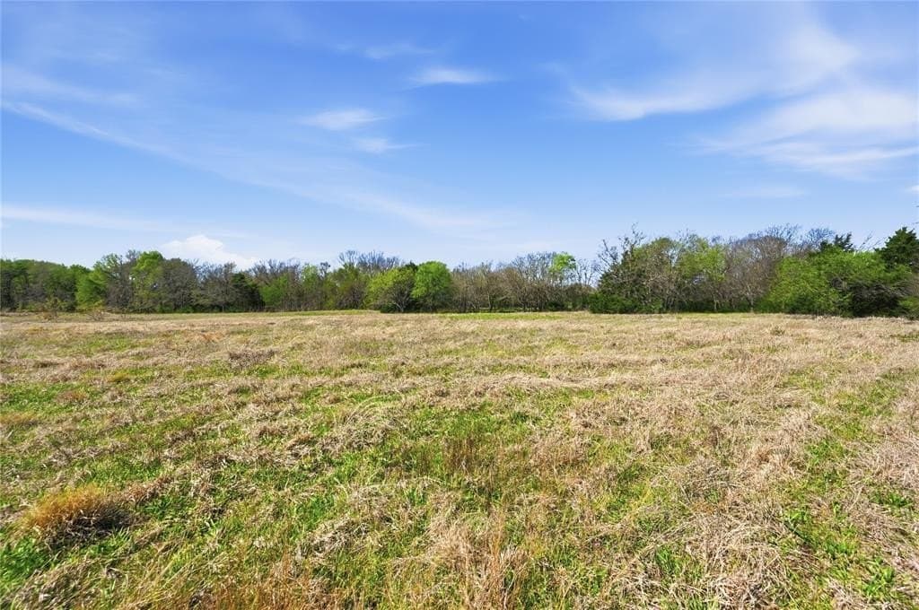 28.01 acres in Navarro County featured view