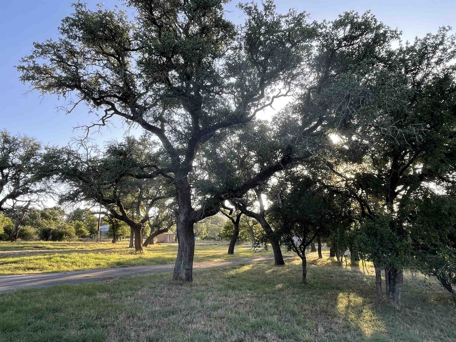 0.6 acres in Burnet County - photo 2