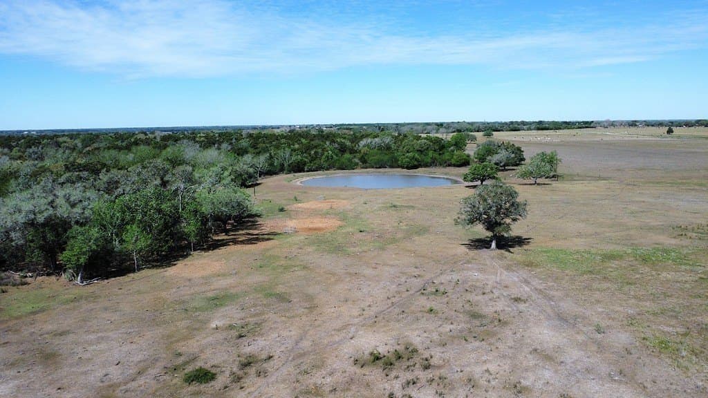 100 acres in Lavaca County gallery image 2