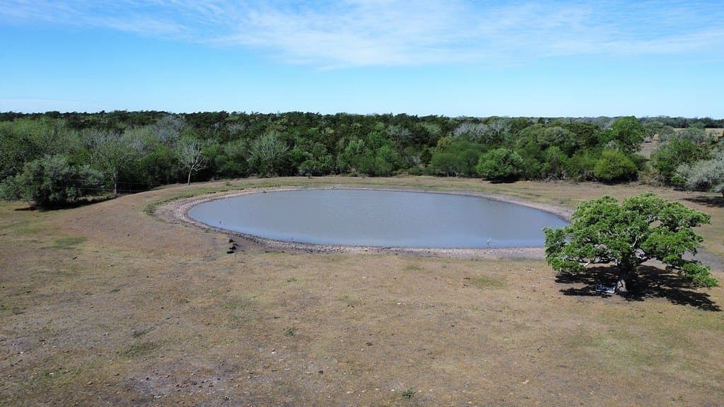 100 acres in Lavaca County gallery image 3