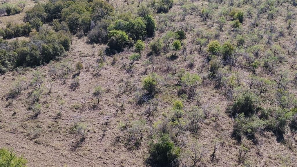 10 acres in Limestone County gallery image 3