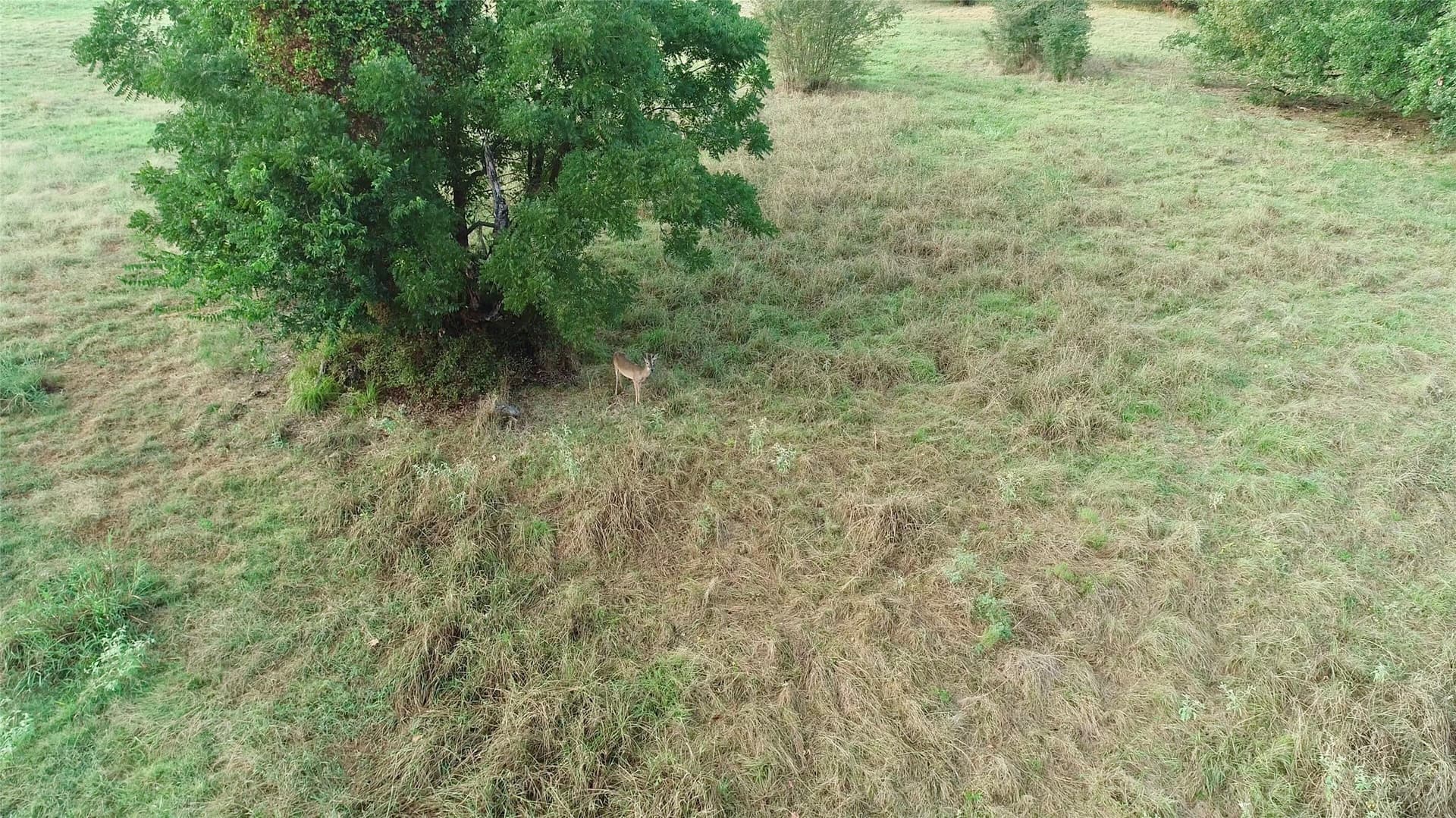 97 acres in Hunt County - photo 11