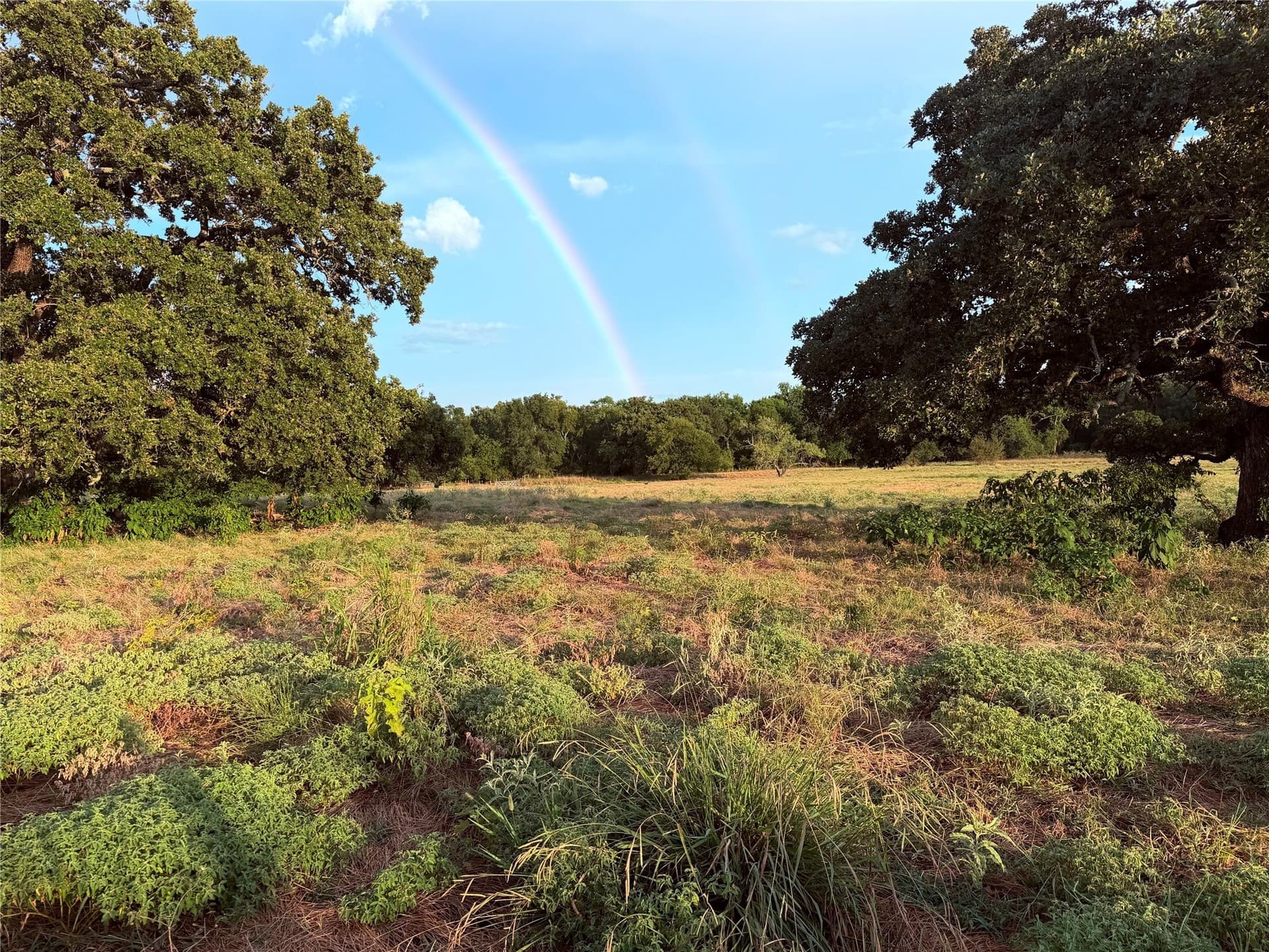 97 acres in Hunt County
