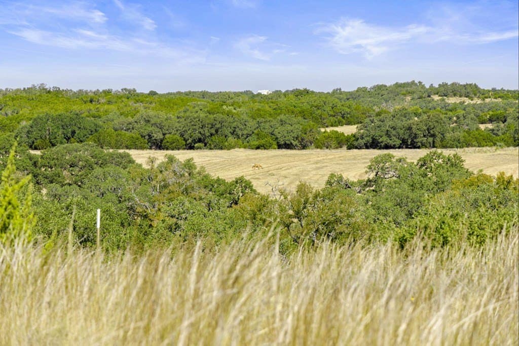 7.22 acres in Blanco County featured view