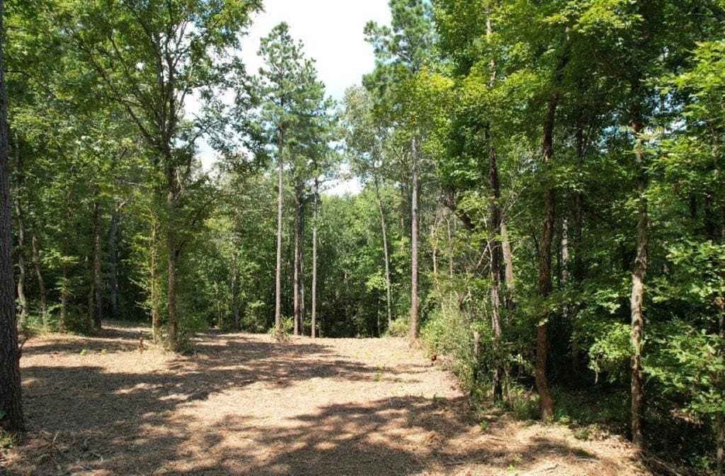22 acres in Shelby County featured view