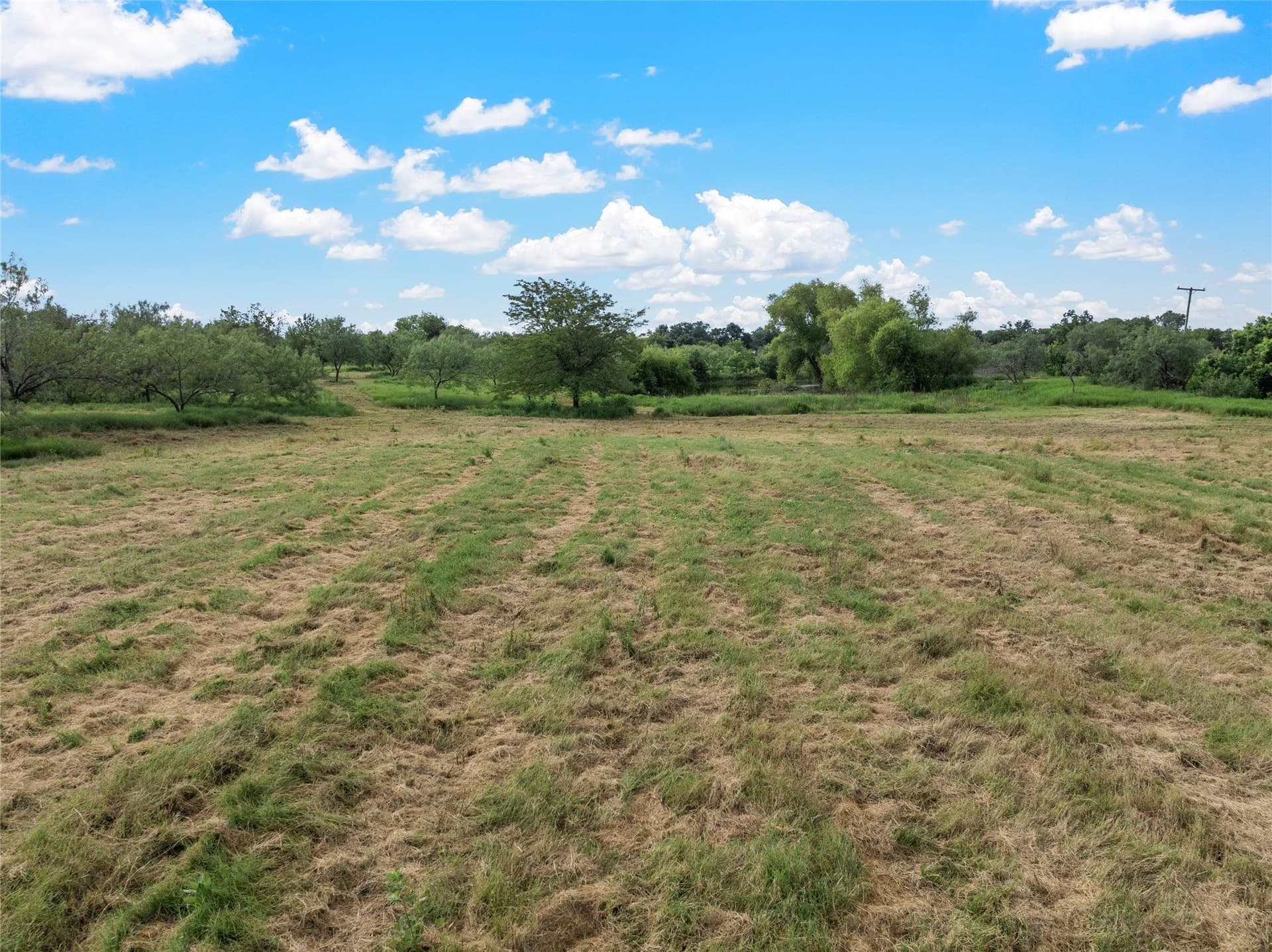 17.18 acres in McLennan County - photo 14