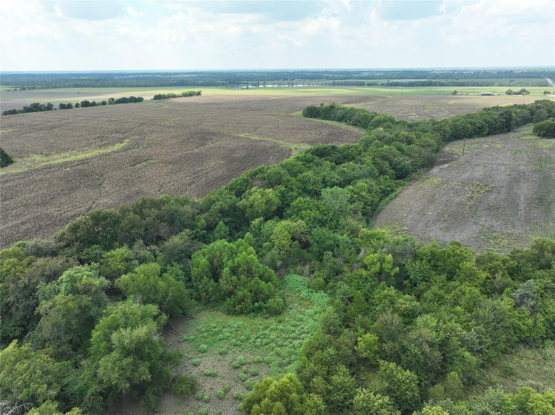 153.66 acres in Lamar County - photo 6