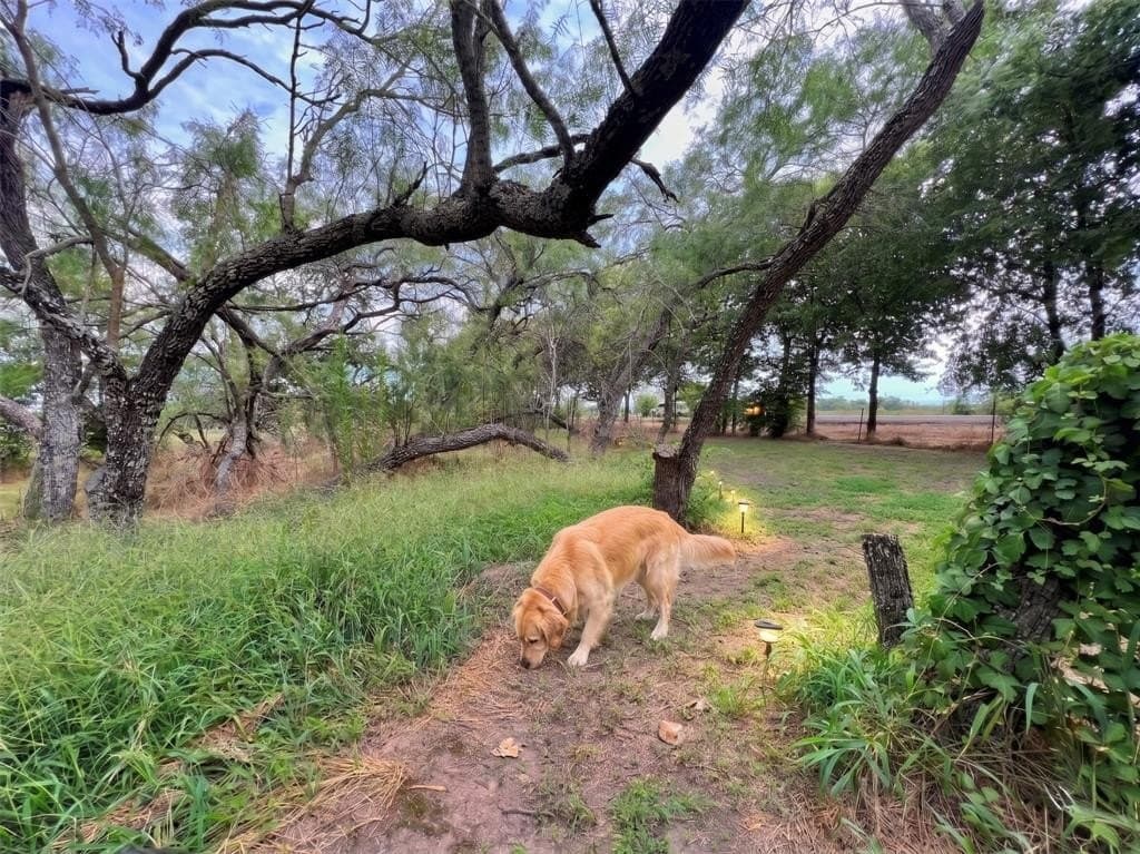 2.1 acres in Kaufman County featured view