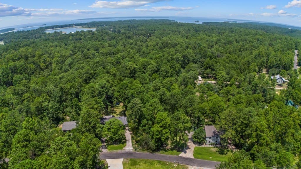 0.32 acres in Texas County gallery image 2