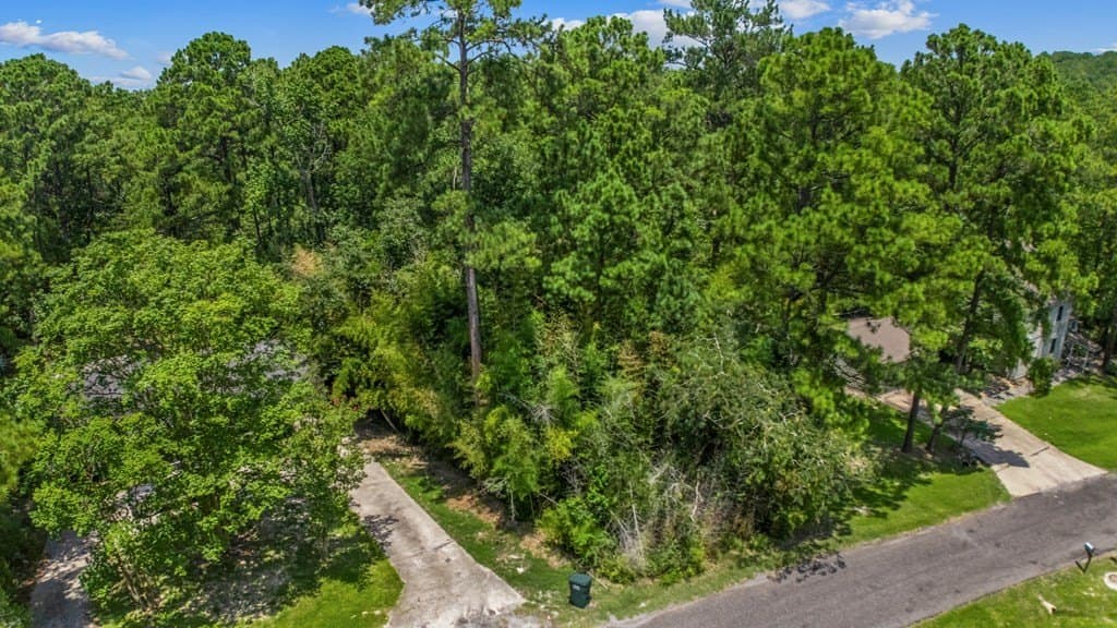 0.32 acres in Texas County - photo 9