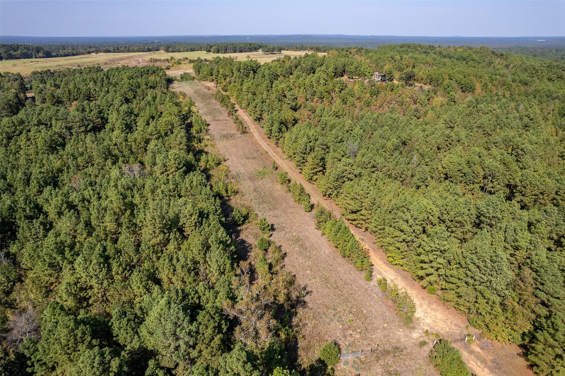 118 acres in Smith County gallery image 3