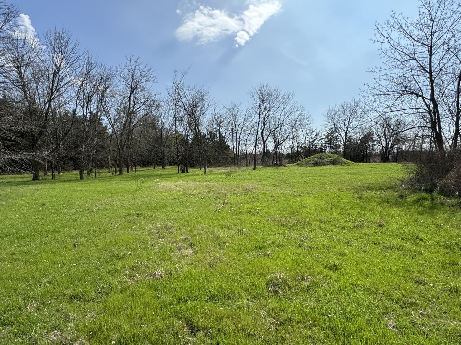 6.01 acres in Lamar County - photo 14