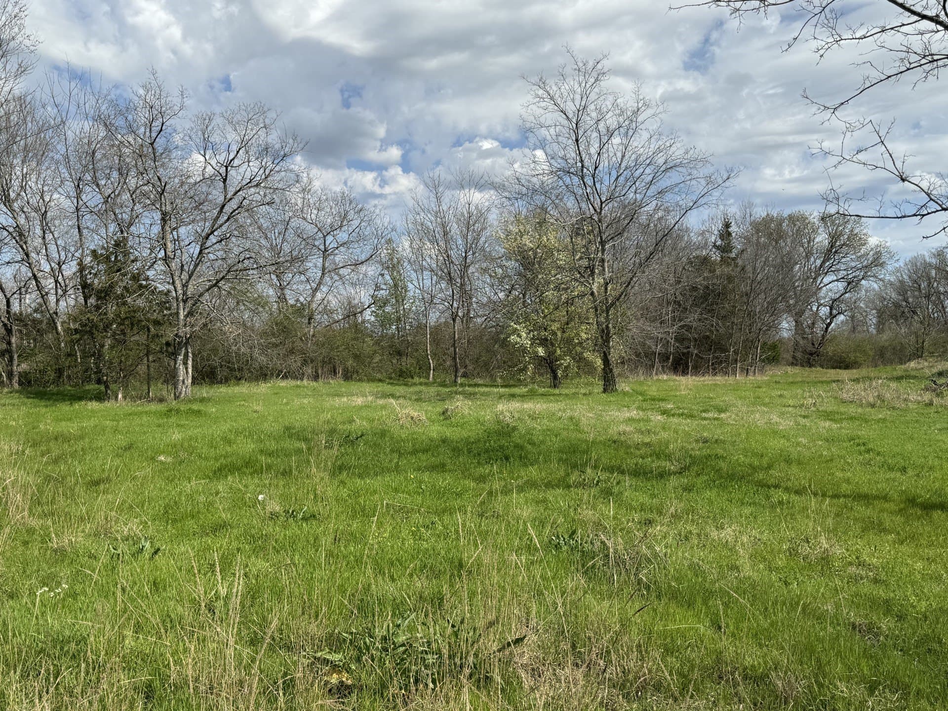 6.01 acres in Lamar County - photo 12