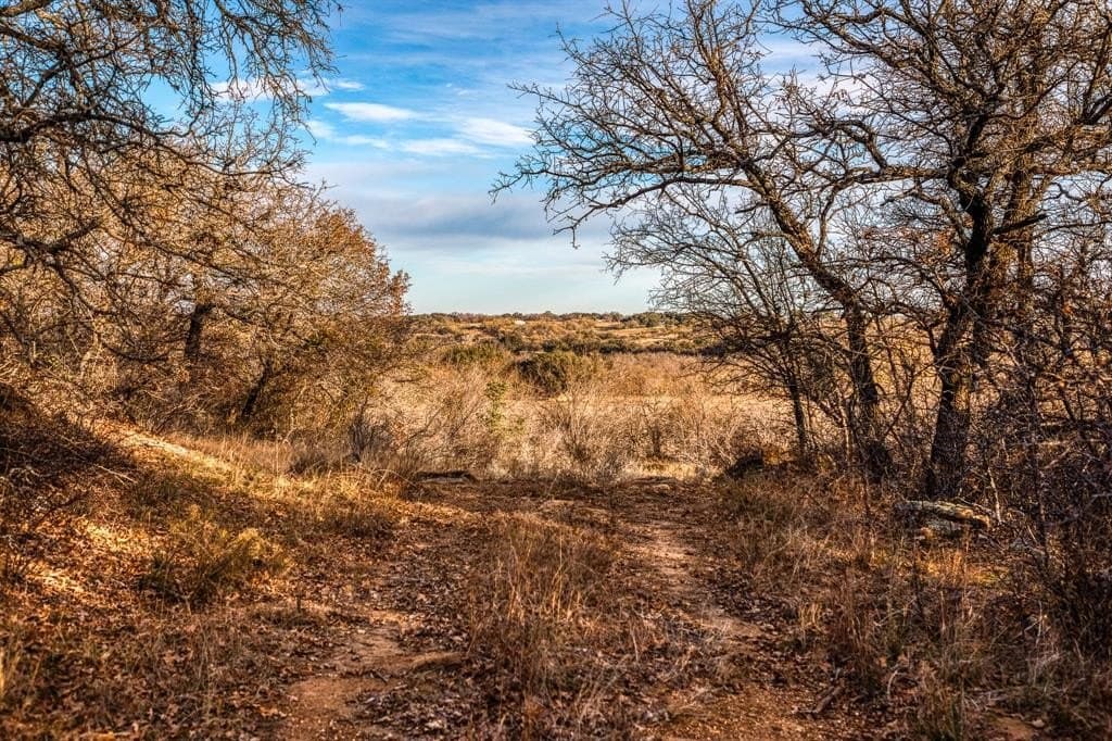 250 acres in Young County featured view