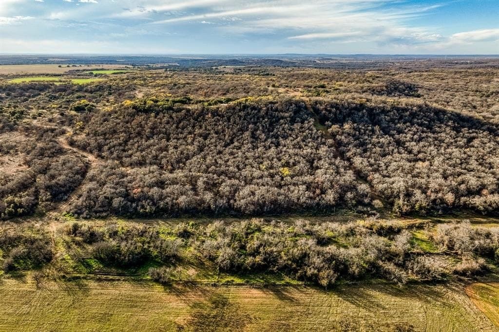 250 acres in Young County gallery image 2