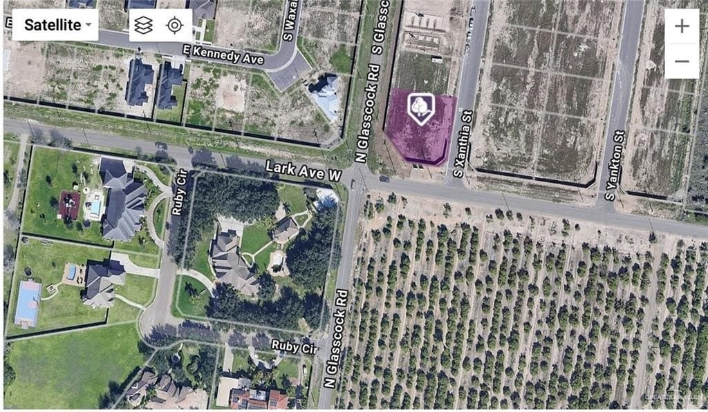 0.39 acres in Hidalgo County gallery image 3