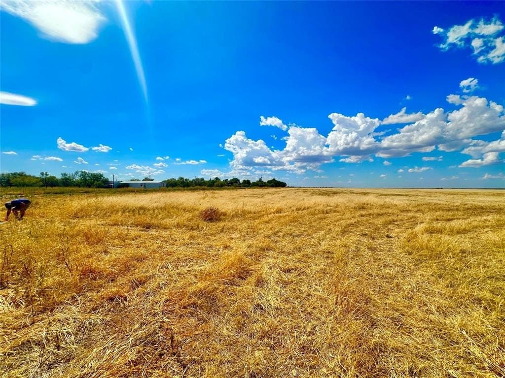 172 acres in Jones County gallery image 2