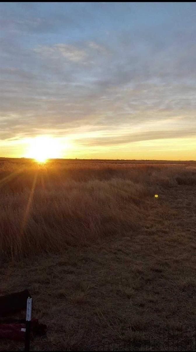 10.01 acres in Lubbock County gallery image 3
