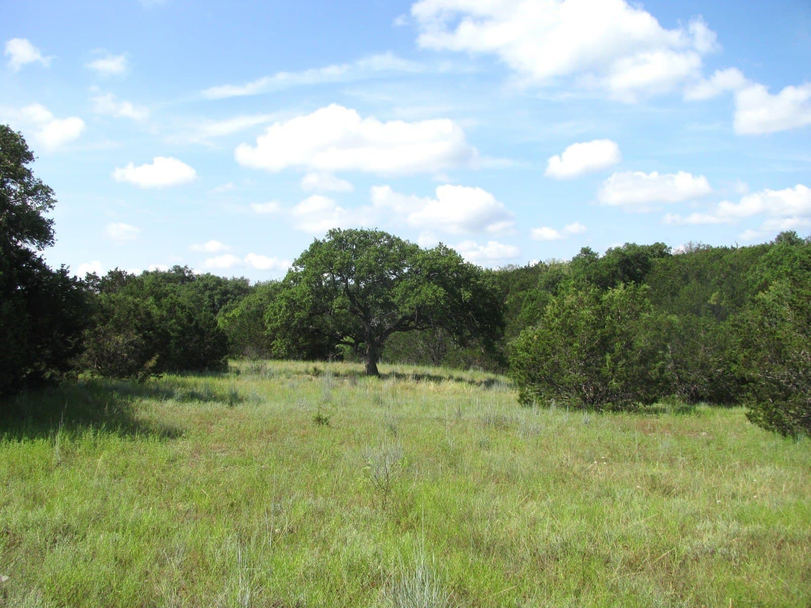 10.7 acres in Hamilton County - photo 6