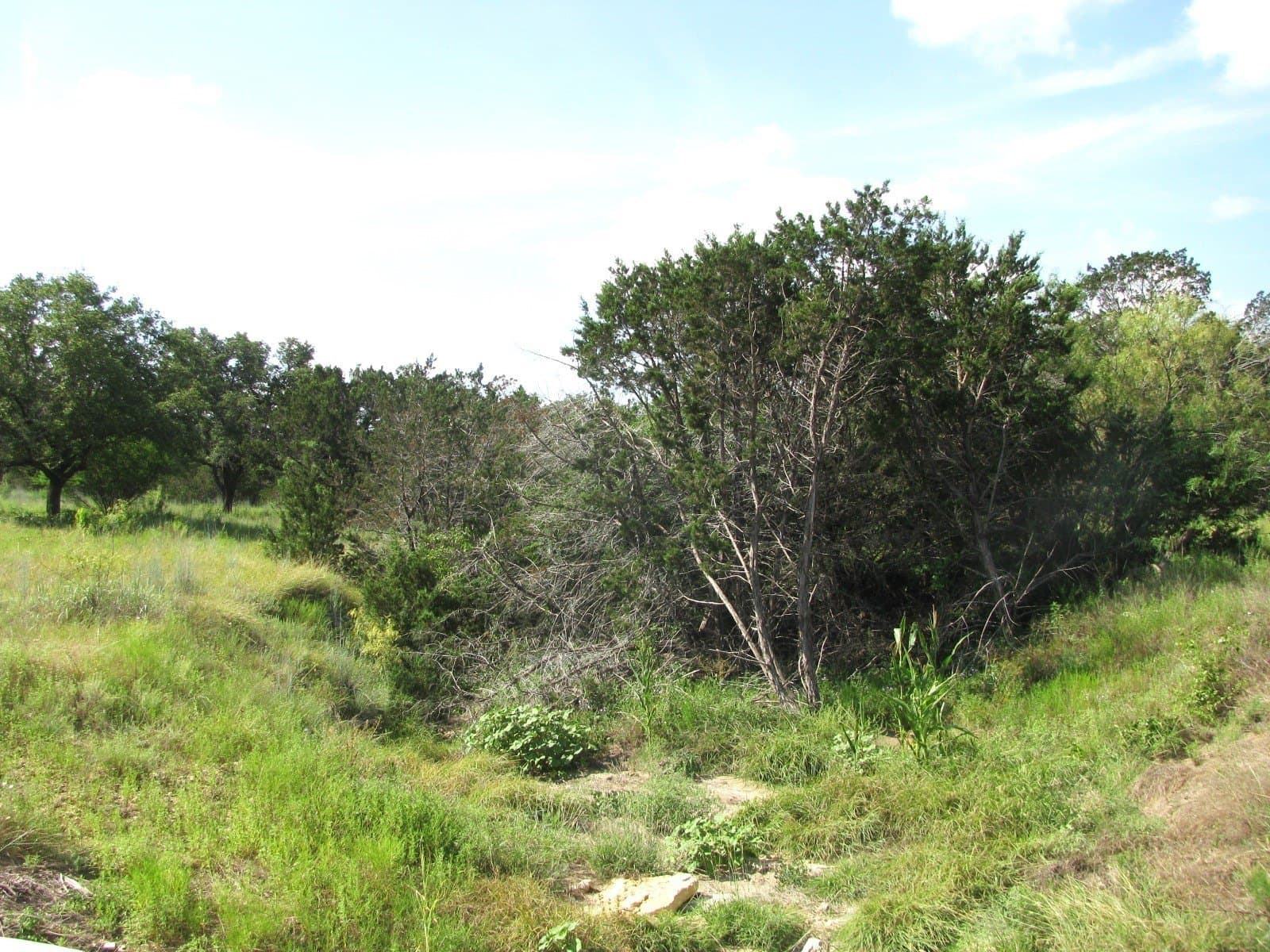 10.7 acres in Hamilton County gallery image 3