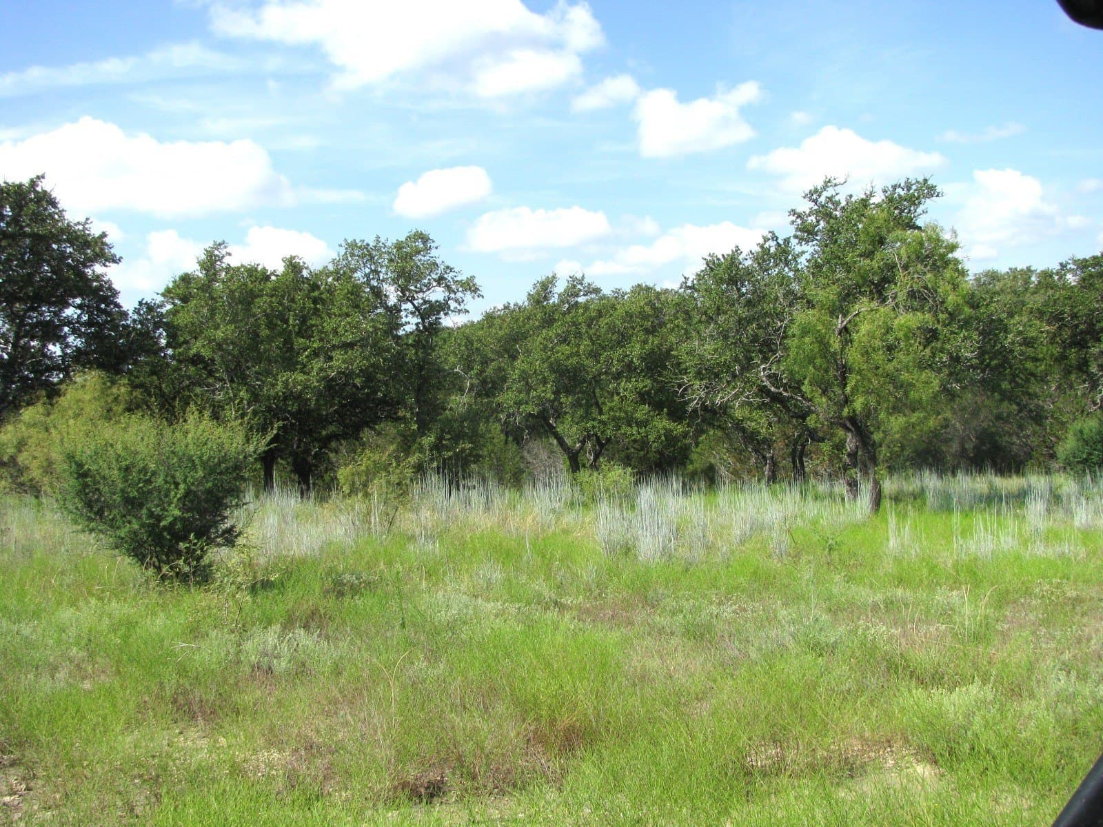 10.7 acres in Hamilton County featured view