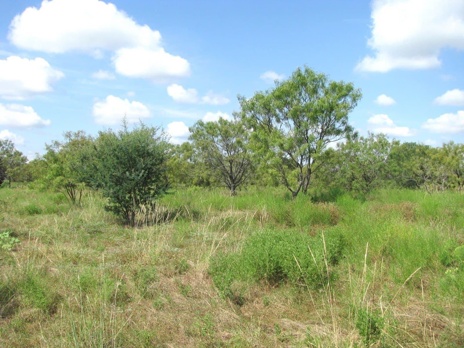 10.7 acres in Hamilton County - photo 17