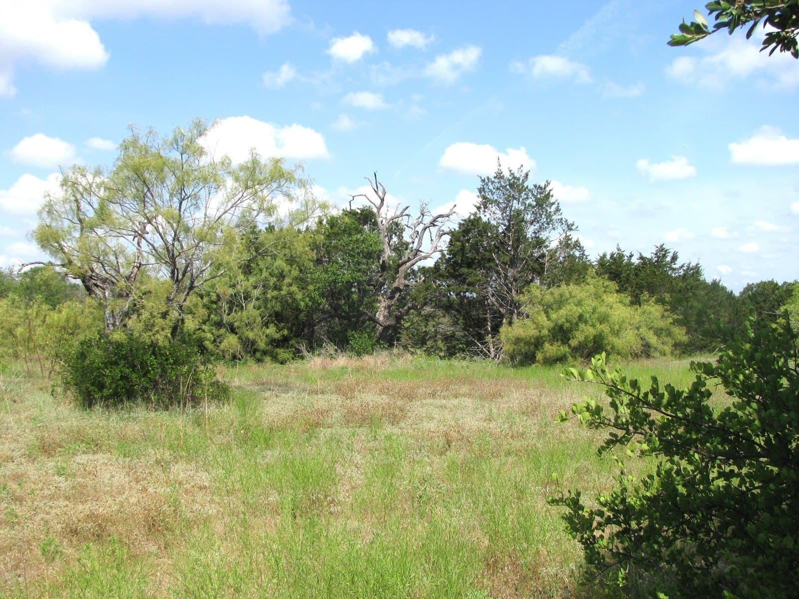 10.7 acres in Hamilton County - photo 18