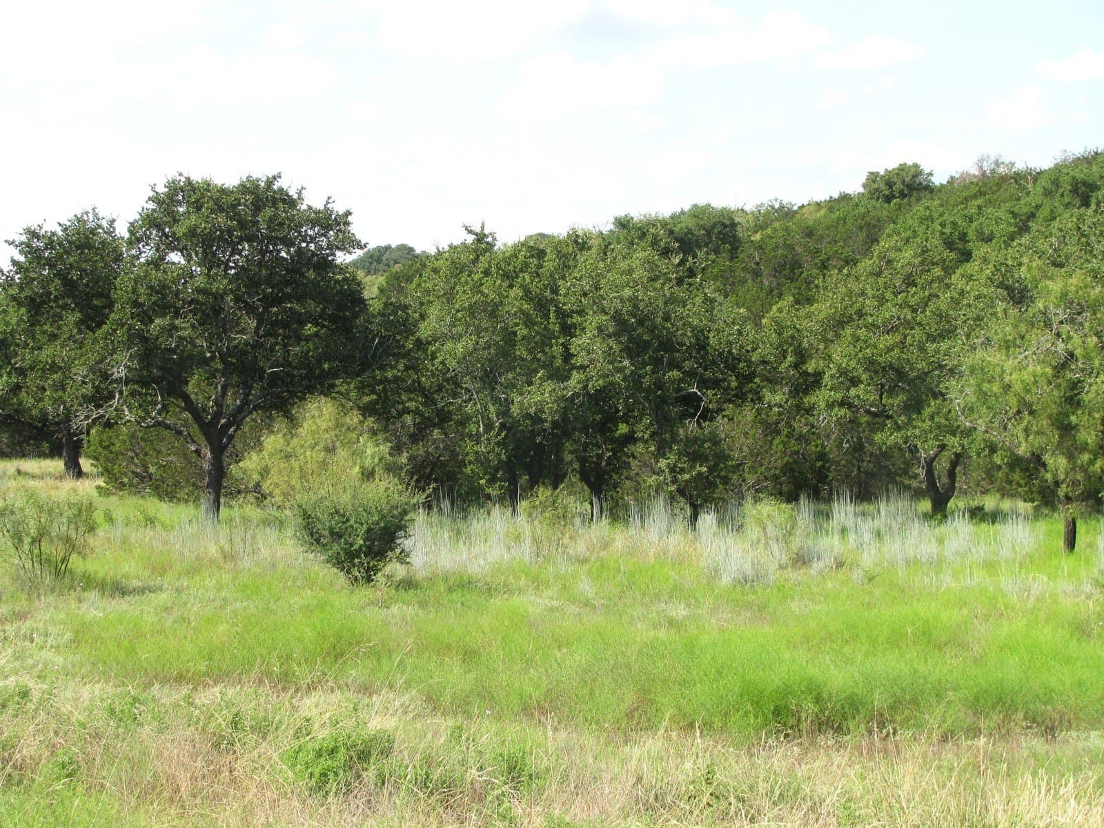 10.7 acres in Hamilton County gallery image 2