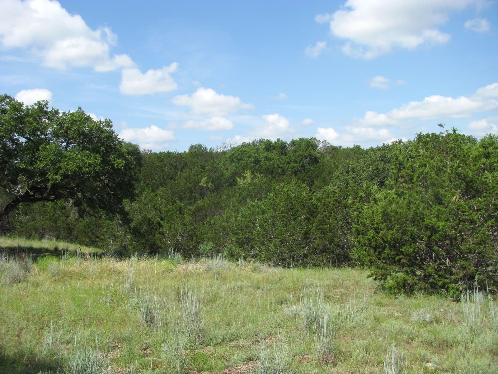 10.7 acres in Hamilton County - photo 8
