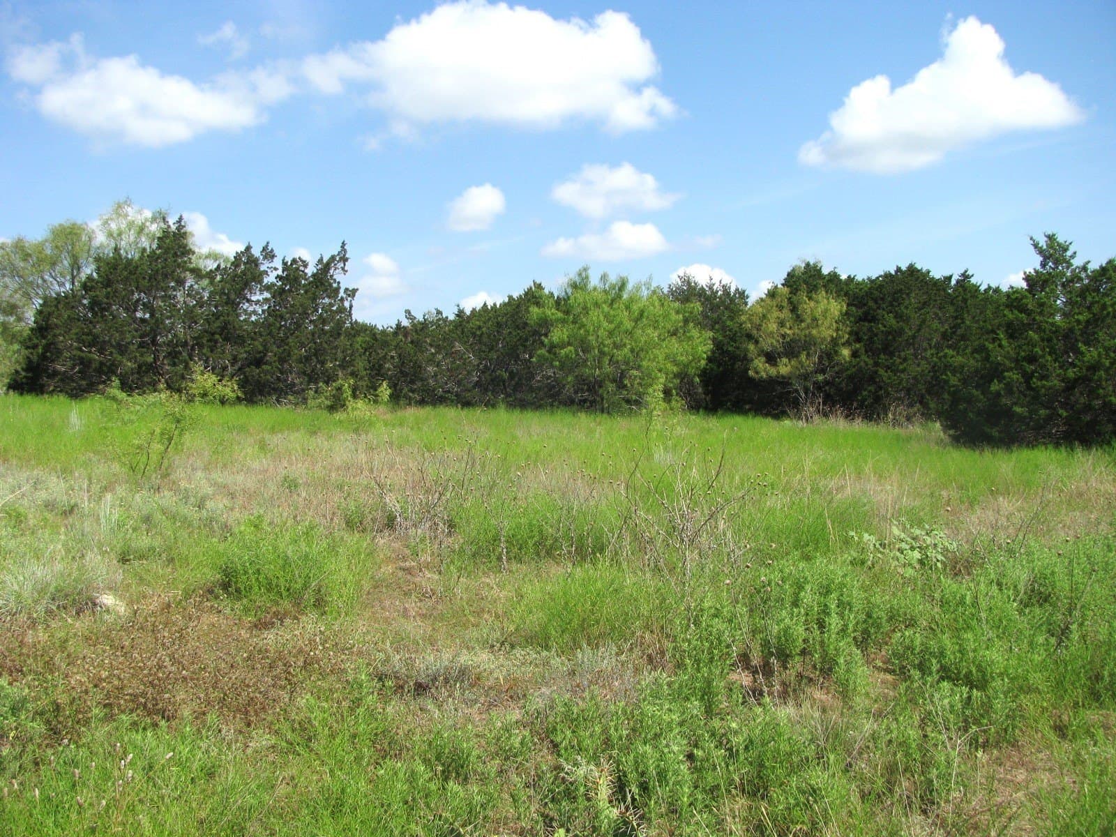10.7 acres in Hamilton County - photo 13