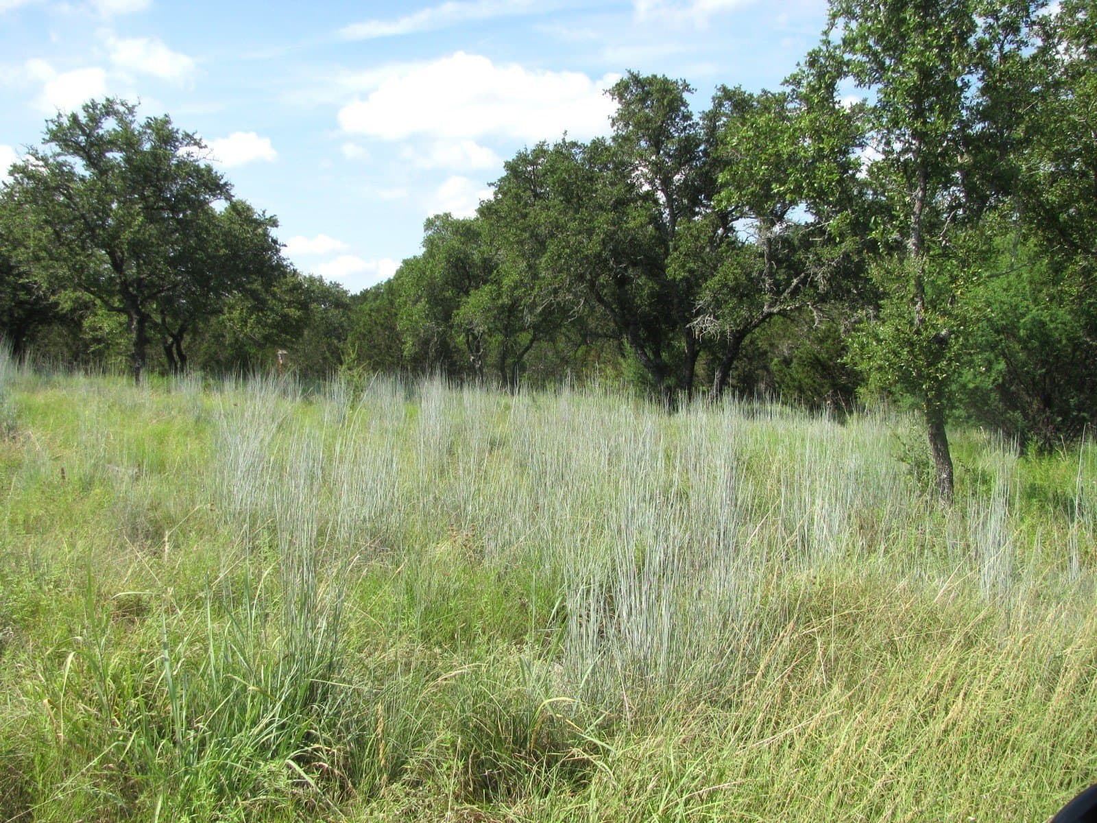 10.7 acres in Hamilton County gallery image 4
